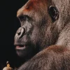 Wandkraft Wildlife 002