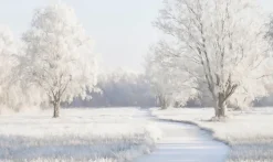 Wandkraft Winter Meadow