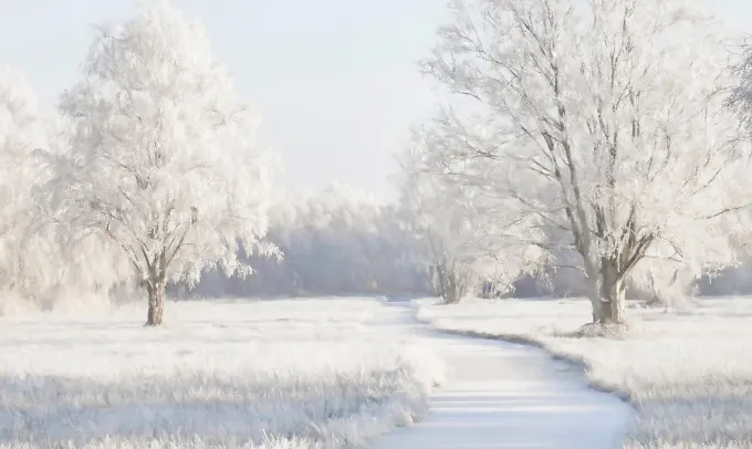 Wandkraft Winter Meadow