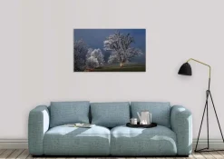 Wandkraft Winter Wonders 007