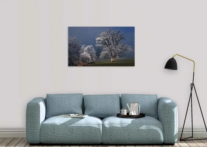 Wandkraft Winter Wonders 007