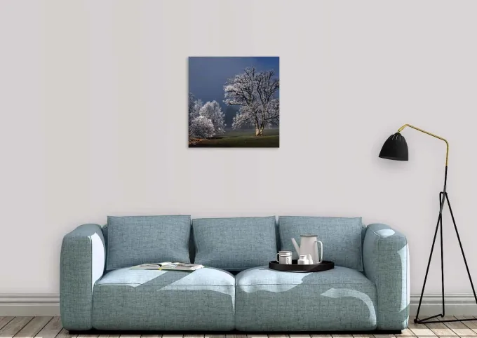 Wandkraft Winter Wonders 007