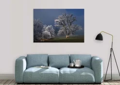Wandkraft Winter Wonders 007