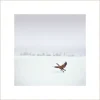 Wandkraft Winter Wonders 000