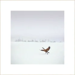 Wandkraft Winter Wonders 000
