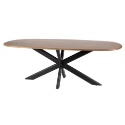WoonStijl Eetkamertafel 215 Cliff ovale buis mango
