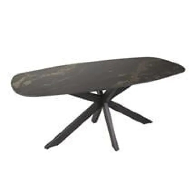 WoonStijl Eetkamertafel spider deens ovaal 180