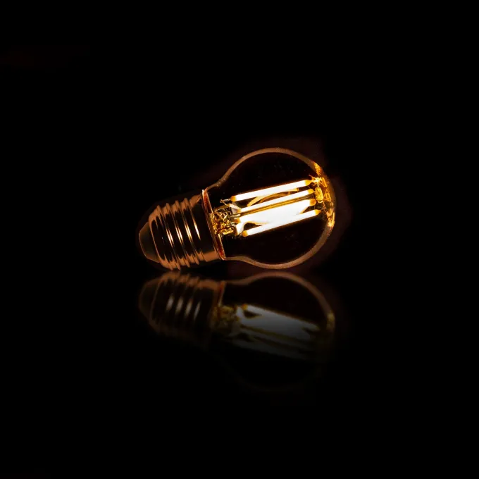 WoonStijl Lichtbron LED filament bol Ø4,5 dimbaar 8463