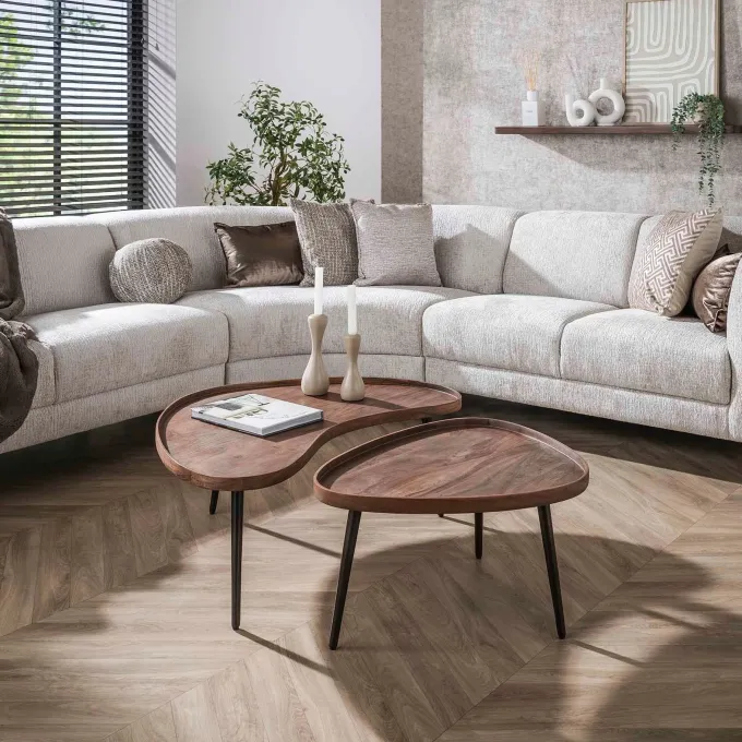WoonStijl Salontafel Carve organisch set van 2