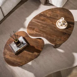 WoonStijl Salontafel Central set van 2 acacia bruin