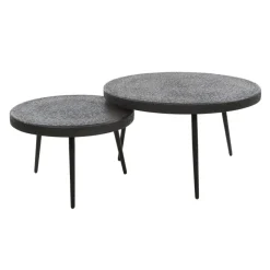 WoonStijl Salontafel set/2 bulky ferro