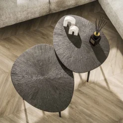 WoonStijl Salontafel set van 2 organisch Brown Ray Metal
