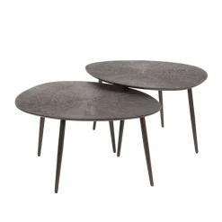 WoonStijl Salontafel set van 2 organisch Brown Ray Metal