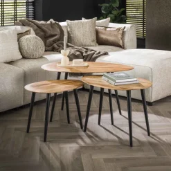 WoonStijl Salontafel set van 3 Acacia organisch