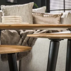 WoonStijl Salontafel set van 3 Acacia organisch