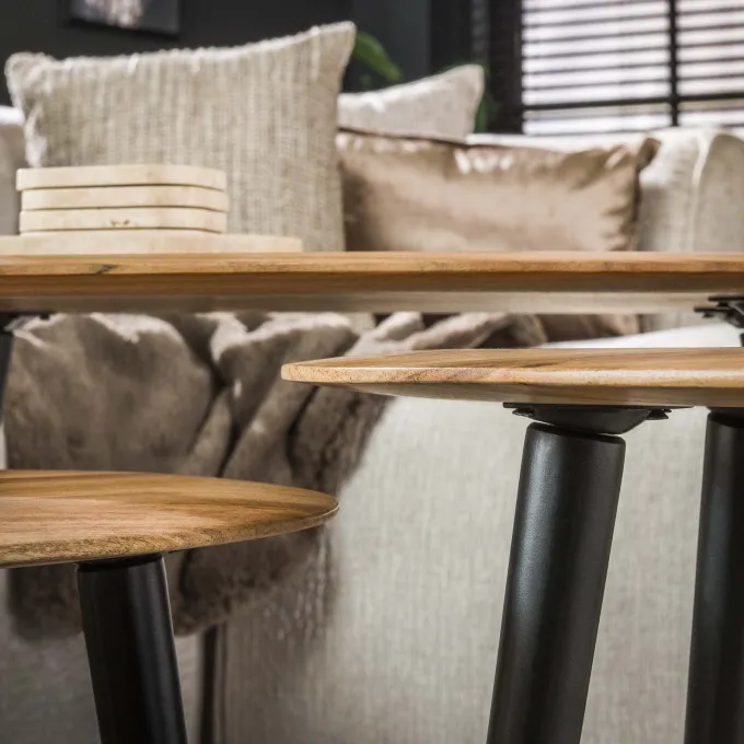 WoonStijl Salontafel set van 3 Acacia organisch