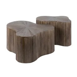 WoonStijl Salontafel set van 2 shamrock Maya teak