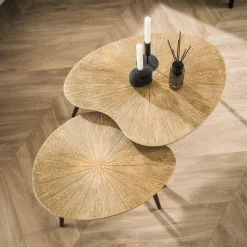 WoonStijl Salontafel set van 2 niervormig ray metal