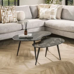 WoonStijl Salontafel set van 2 niervormig fossil