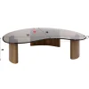 WoonStijl Salontafel Tinto organisch 130cm Brons glas