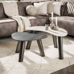 WoonStijl Salontafel Twin organisch set van 2 salontafels