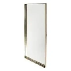 WoonStijl Spiegel 40x100 opstaande rand goudkleurig