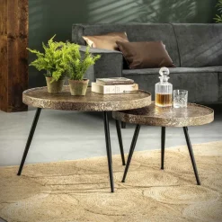 WoonStijl WoonStijl Salontafel set van 2 - Rond Metallic Antiek Brons